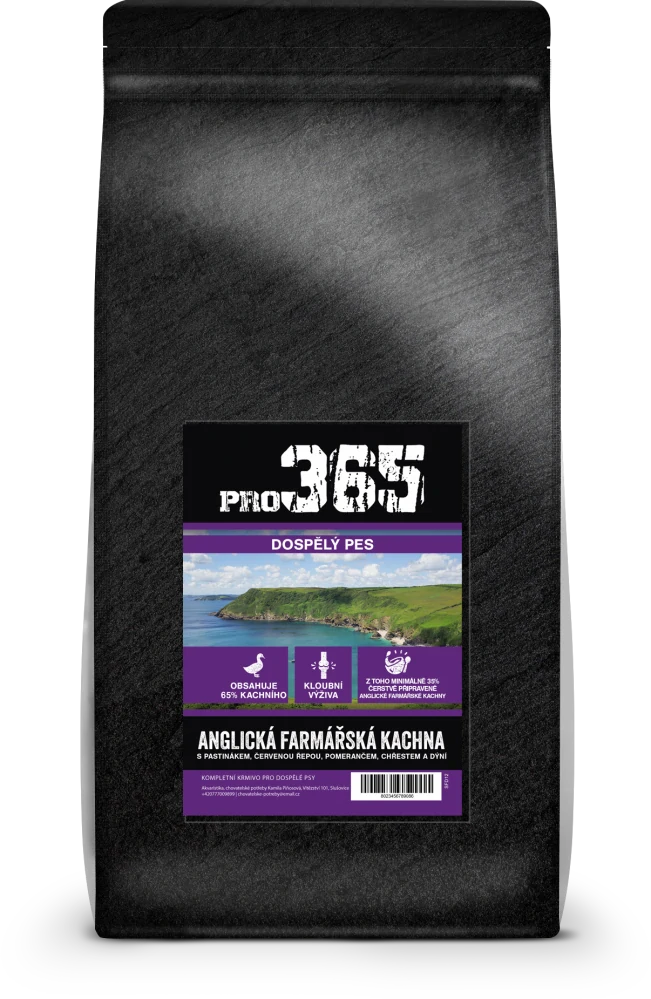 ANGLICKÁ FARMÁŘSKÁ KACHNA - dospělý pes