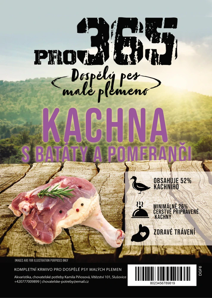 Kachnas batáty a pomeranči - dospělý pes malé plemeno