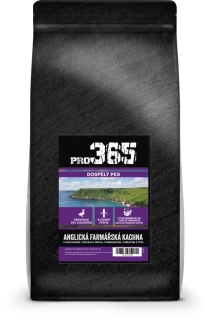 ANGLICKÁ FARMÁŘSKÁ KACHNA - dospělý pes