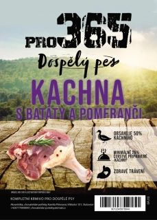 Kachna s batáty a pomeranči - dospělý pes